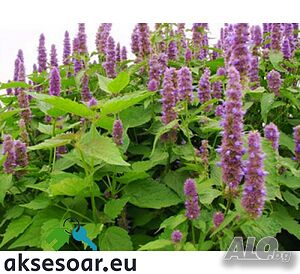 image_13
