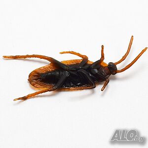 image_7