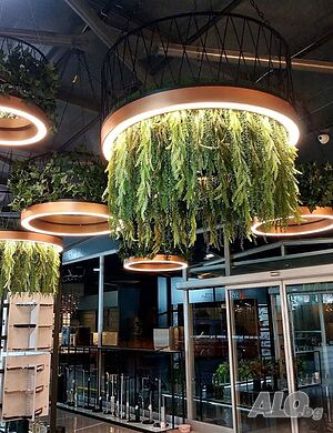Рингове с LED осветление и висящи изкуствени растения