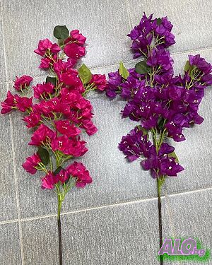 image_15