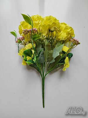 image_2