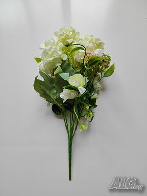 image_11