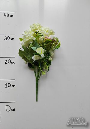 image_12