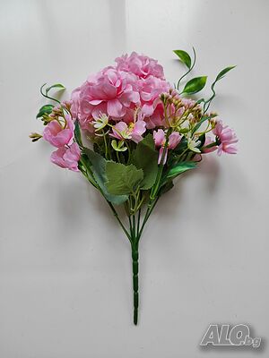 image_14
