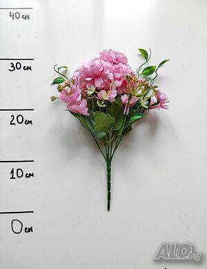 image_15