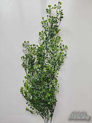 image_2