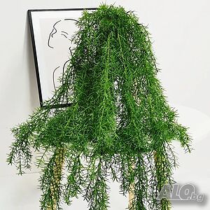 image_6