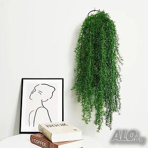 image_7