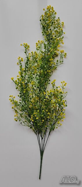 image_9