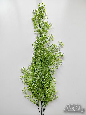 image_10