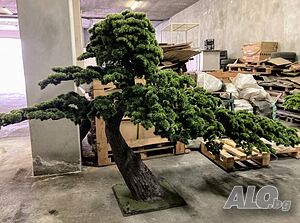 image_8