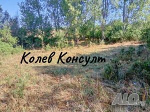 Предлагам парцел в село Веселие, община Приморско