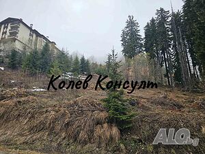 Предлагам парцел в к.к Пампорово, община Смолян