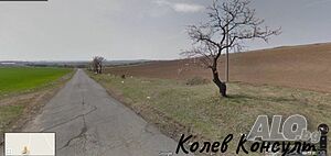 image_6