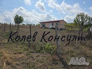 image_9