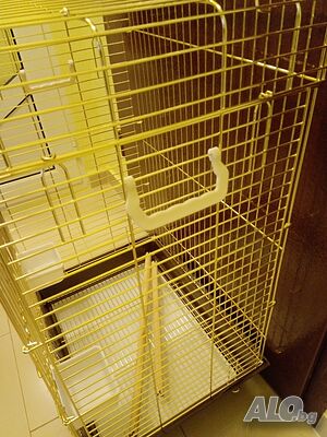 image_3
