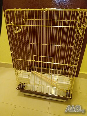 image_2