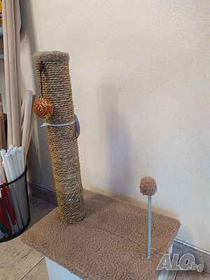 image_2