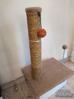 image_3