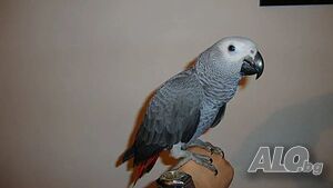 image_3