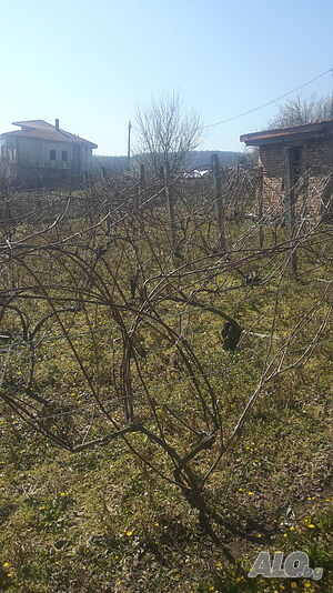 image_9