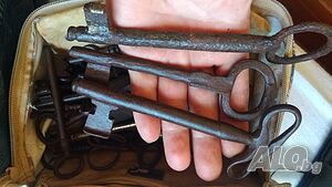 image_7