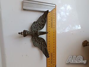image_6