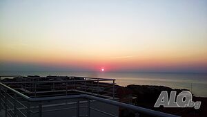 image_11