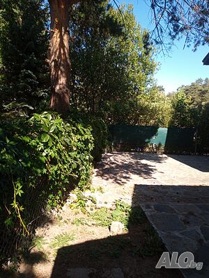 image_15