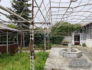 image_7