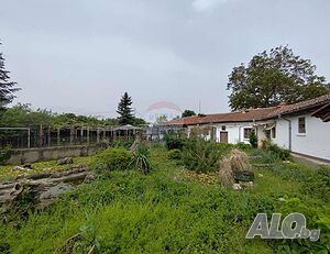 image_11