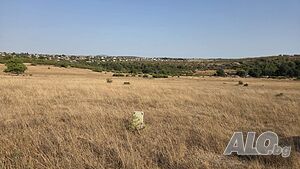 Парцел в землището на село Маринка