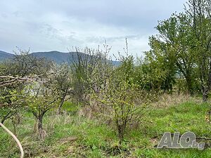image_9