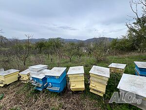 image_11
