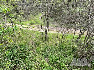image_7