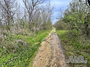 image_8