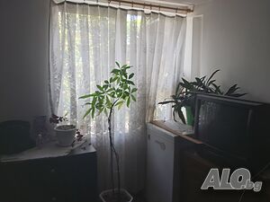 image_12