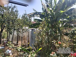image_14