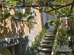 image_15