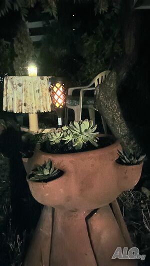 image_36