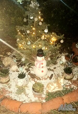 image_47