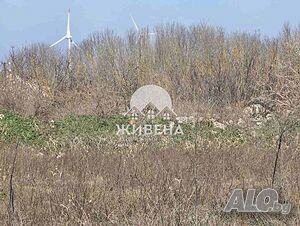 image_5