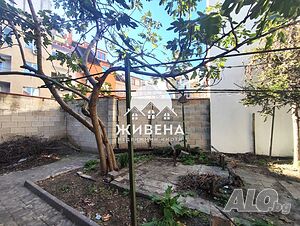 image_6