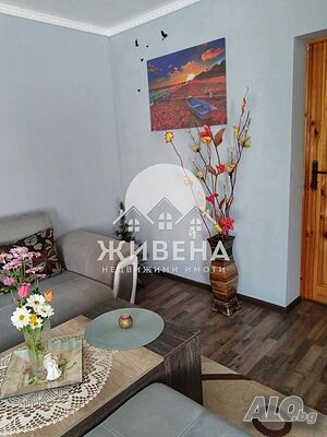 image_7