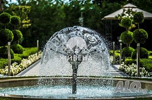 image_8