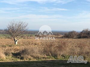 Предлагам за продажба Ексклузивно урегулиран поземлен имот в село Рогачево