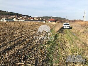 image_3
