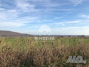 image_6