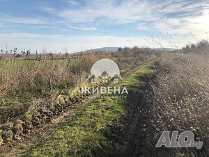 image_7