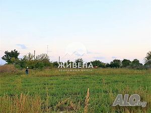 image_5